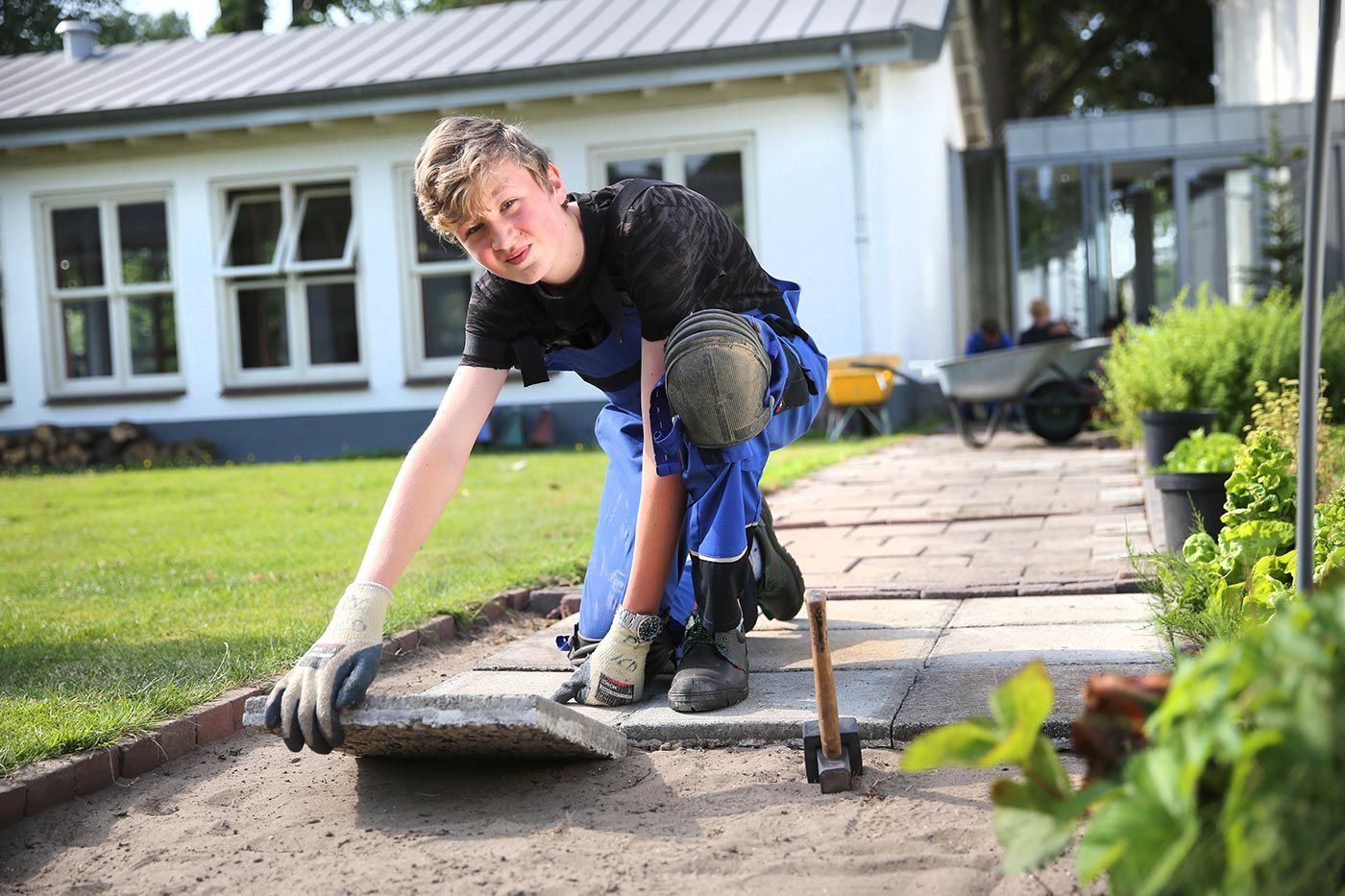 Oost ter Hout - Praktijkschool Haarlem - Groenvoorziening